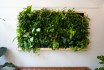 Small Space, Big Impact: Creative Ideas for Creating a Vertical Garden Wall